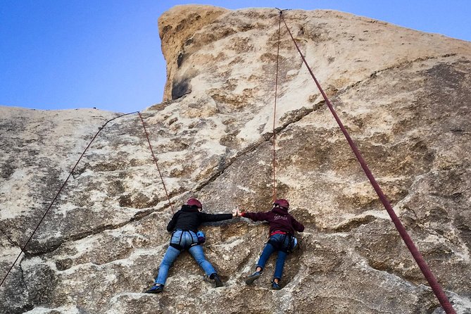Beginner Group Rock Climbing in Joshua Tree National Park - Traveler Reviews and Highlights