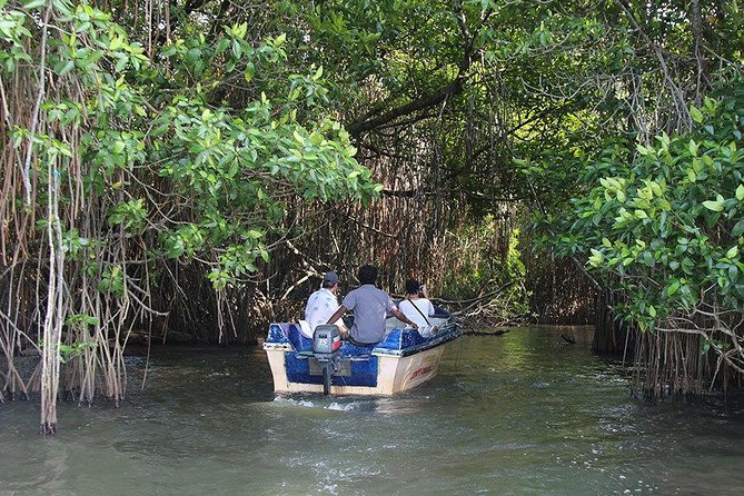 Bentota River Safari By BTM (Mangrove & Wildlife Encounter) - Duration and Tour Highlights
