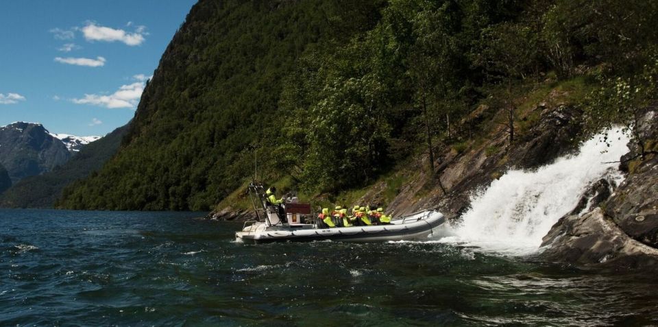 Bergen: RIB Sognefjord Safari and Flåm Railway Private Tour - Customer Reviews
