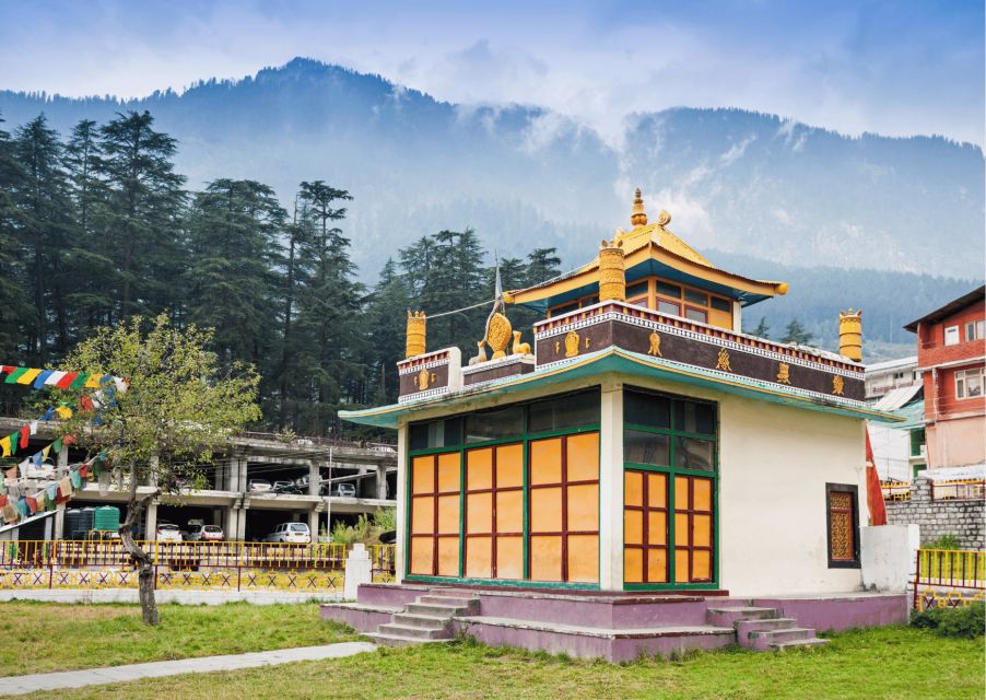 Best of Dharamshala With a Local - Full Day Guided Tour - Preparation and Recommendations