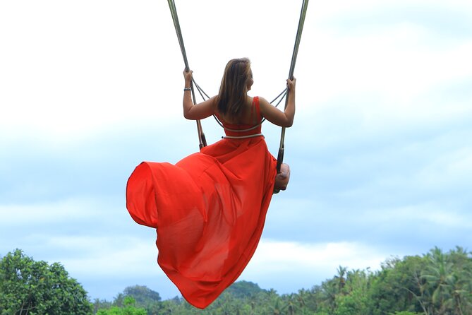 Best of Instagram Tour: Gate of Heaven, Tirta Gangga, Bali Swing - Bali Swing Experiences