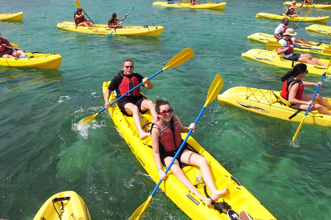 Best of Mangrove Lagoon Kayak, Hike and Snorkel Adventure With Picnic Lunch - Wildlife Sightings and Snorkeling Opportunities