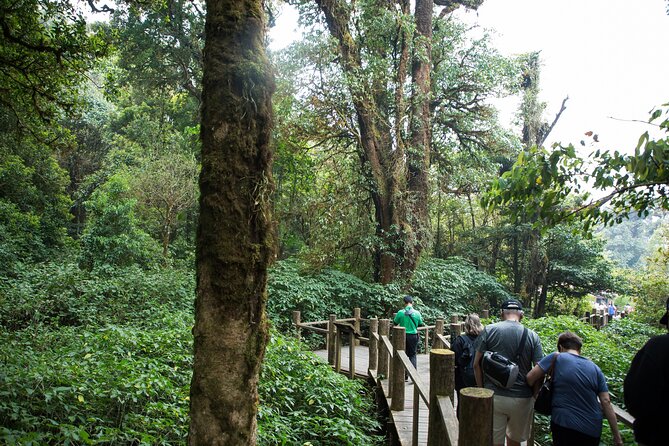 Best Seller: Doi Inthanon National Park Full Day Tour - Waterfalls Exploration