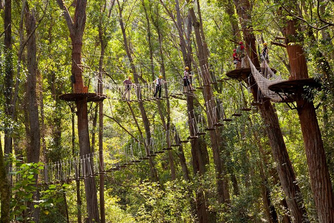 Big Island Kohala Zip and Dip Tour From Kona - Safety Measures