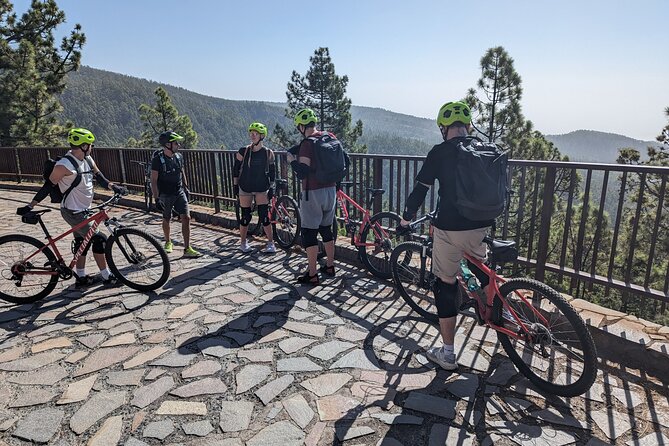 Biking Adventure From Teide to Sea With Wine and Cheese Tasting - Wine and Cheese Tasting