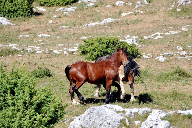 Biokovo Skywalk - Scenic Highlights and Views