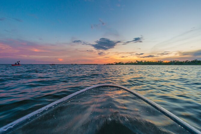 Bioluminescent Clear Kayak Tours in Titusville - Customer Reviews and Ratings