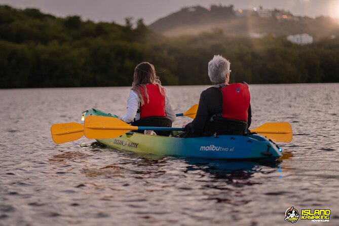 Bioluminescent Glowing Bay Kayaking Adventure in Puerto Rico - Essential Preparation Tips