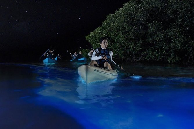 Bioluminescent Kayak Tour by THE #1 Rated Company in Cocoa Beach - Traveler Experiences and Reviews