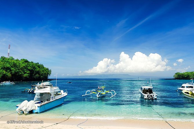 Bloo Lagoon Snorkeling East Bali Includes Transportation & Lunch - Customer Reviews