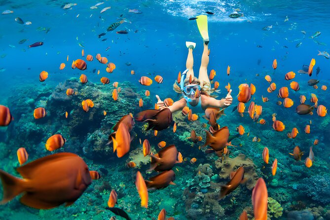 Blue Lagoon Snorkeling - Bali Best Snorkeling Site - Cancellation and Booking Policies