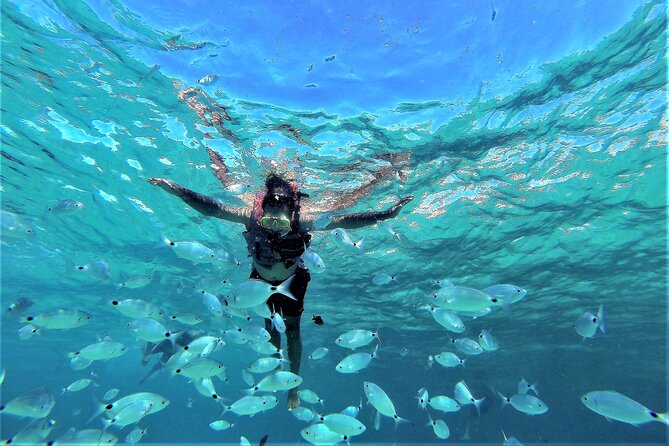 Boat Tour From the Beaches of Ibiza to the Cave of Cala Basa - Exploring Cala Basa Cave