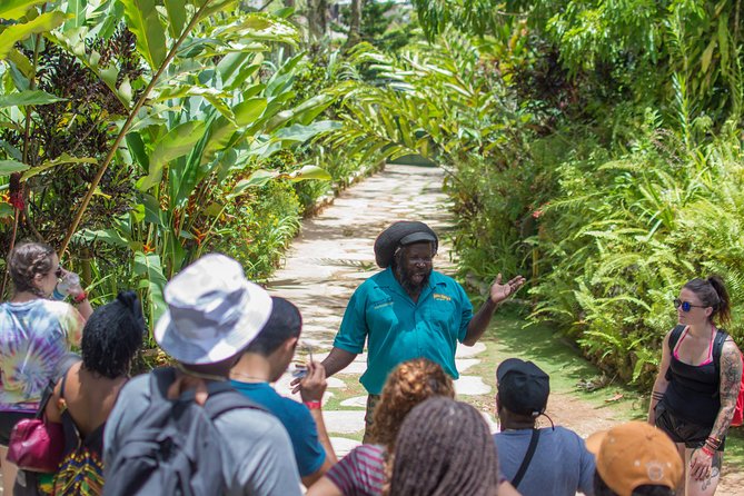 Bob Marley 9 Mile Tour Admission - Preparing for Your Visit