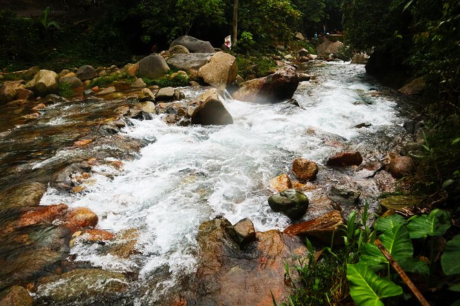 Bogor Botanical Garden, Waterfall, Mountain Springs & Rice Field - Local Village and Rice Fields