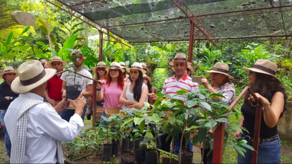 Bogotá: Colombian Coffee Tour With Farm - Coffee Culture Experience