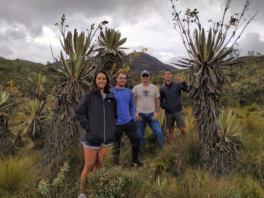 Bogotá: Guided 5-Hour Coffee Farm Tour - Reviews and Ratings