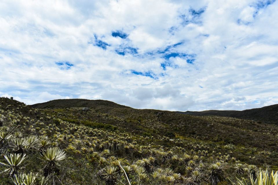 Bogotá: Sumapaz National Park Hike Tour With Lunch - About Gran Colombia Tours