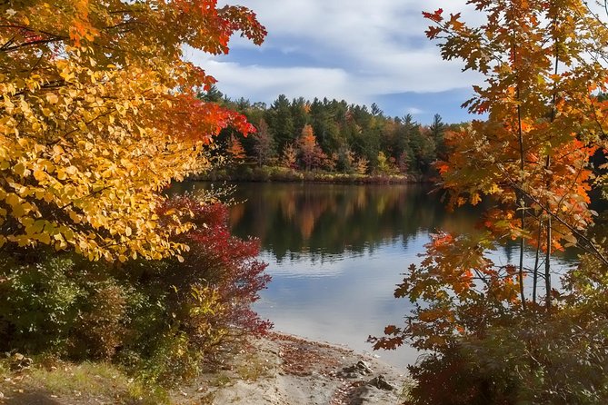 Boston to New Hampshire Fall Foliage White Mountains Day Trip - Important Travel Information