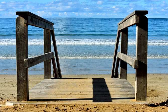 Boutique All-Inclusive Great Ocean Road, 12 Apostles and Rainforest Experience - Traveler Experiences