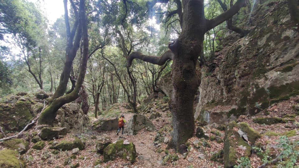 Bruncu Casteddu: Hiking Guided Tour Near Ulassai Village - Meeting Point Details