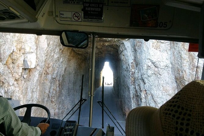 Bus Tour of Mount Rushmore and the Black Hills - Accessibility Considerations