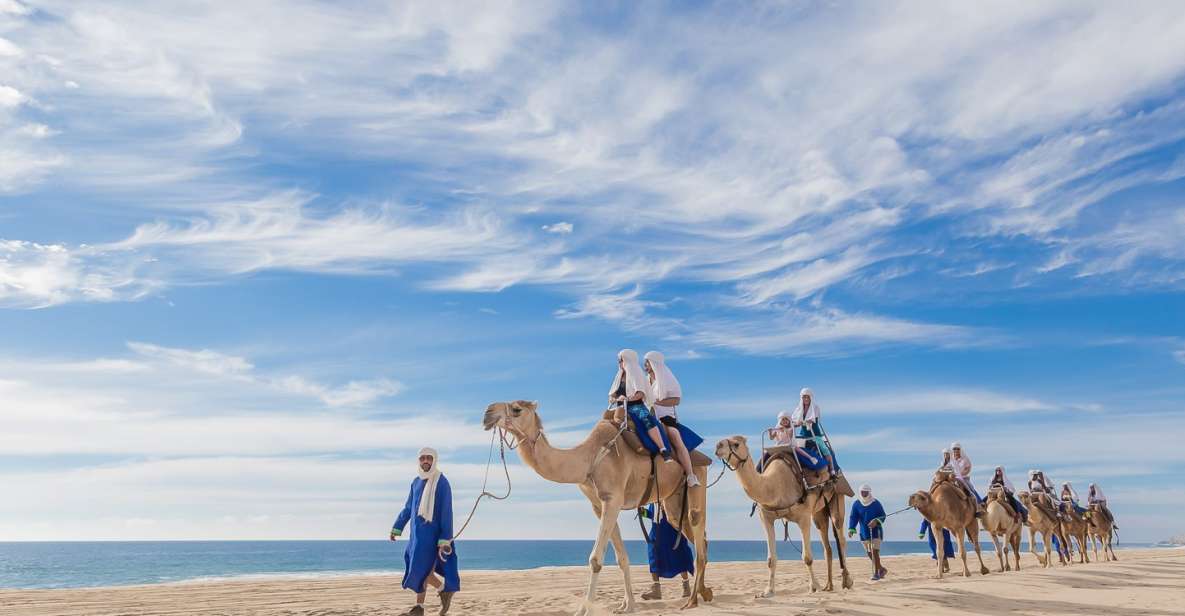 Cabo San Lucas: Camel Safari Tour With Lunch and Tequila - Frequently Asked Questions