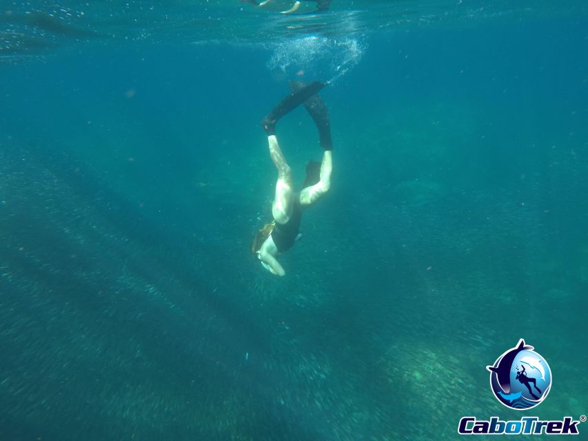 Cabo San Lucas Private and Shared Snorkeling Tour - Snacks and Drinks Offered