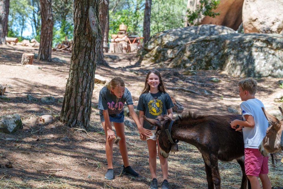 Cagliari: Picnic With Sardinian Donkeys - Scenic Location Details