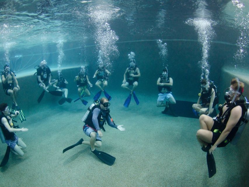 Cairns: 4-Day PADI Open Water Course - Booking Information