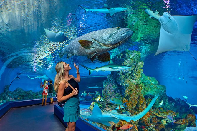 Cairns Aquarium Admission Ticket - Conservation Efforts