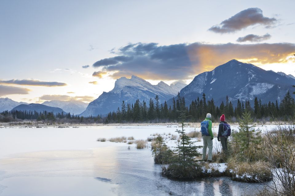 Canmore: 4-Hour Banff Park Safari Drive & Nature Walk - Guest Park Pass Included