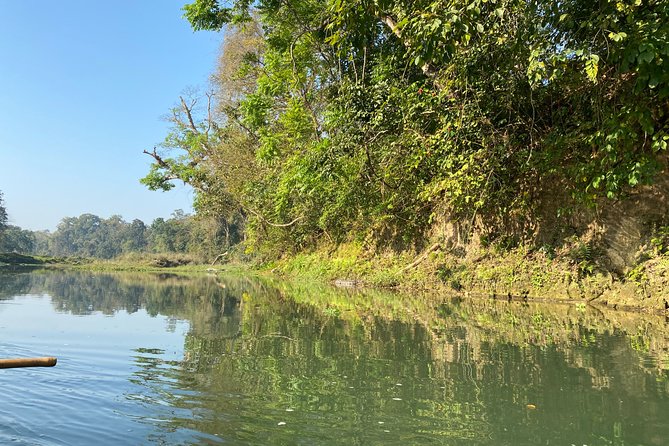 Canoeing and Nature Walk in Chitwan National Park - Reviews and Participant Feedback