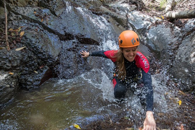 Canyoning With Waterfalls in the Rainforest - Small Groups - Canyoning Experiences
