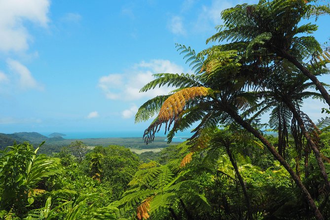 Cape Tribulation & Daintree Wilderness (TCT) - Important Tour Information