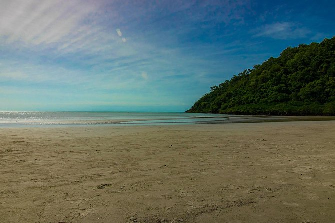 Cape Tribulation Day Tour - Traveler Experiences