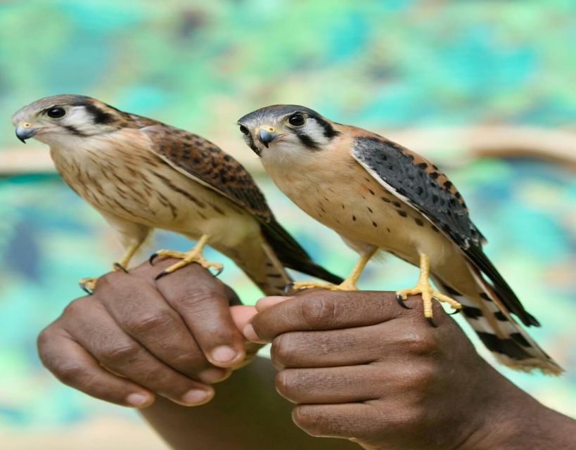 Cartagena: Day Tour Aviary and Playa Blanca by Bus! - Tips for a Great Experience