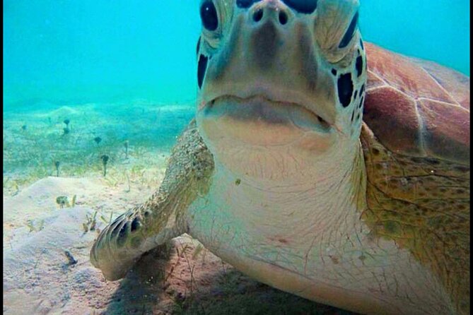 Cas Cay - Kayak Hike and Snorkel Adventure - Tour Accessibility and Requirements