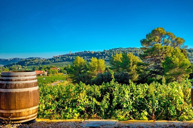 Cellar Visit & Bandol Wine Tasting - Traveler Capacity and Accessibility