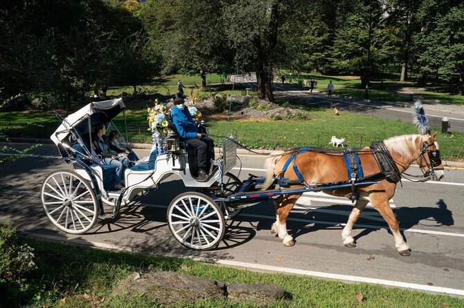 Central Park and NYC Horse Carriage Ride OFFICIAL ( ELITE Private) Since 1970™ - Accessibility Information