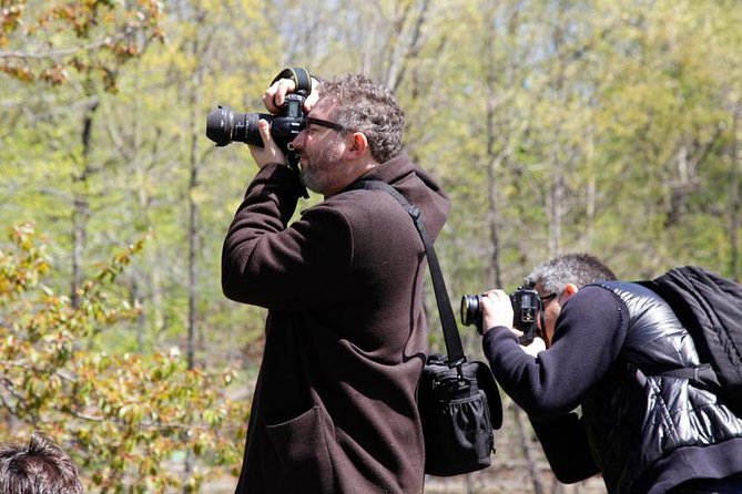 Central Park Photography Tour With Local Photographer - Tips for a Great Experience