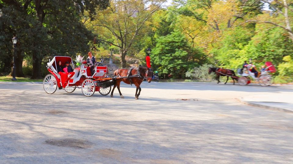 Central Park: Short Horse Carriage Ride (Up to 4 Adults) - Tranquil Park Environment