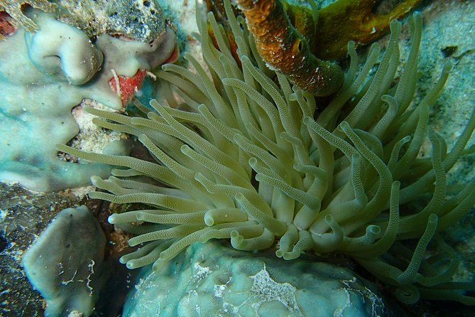 Certified Guided Reef Dive in St Thomas - Booking and Cancellation Policy