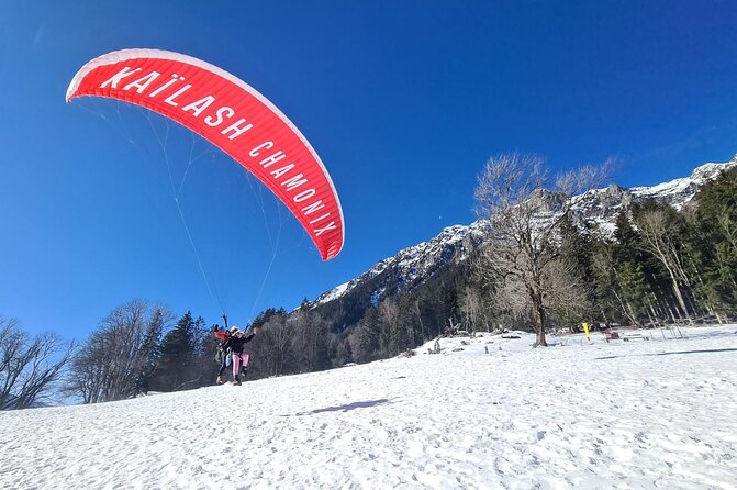 Chamonix, Tandem Paragliding in Planpraz - Customer Reviews and Feedback