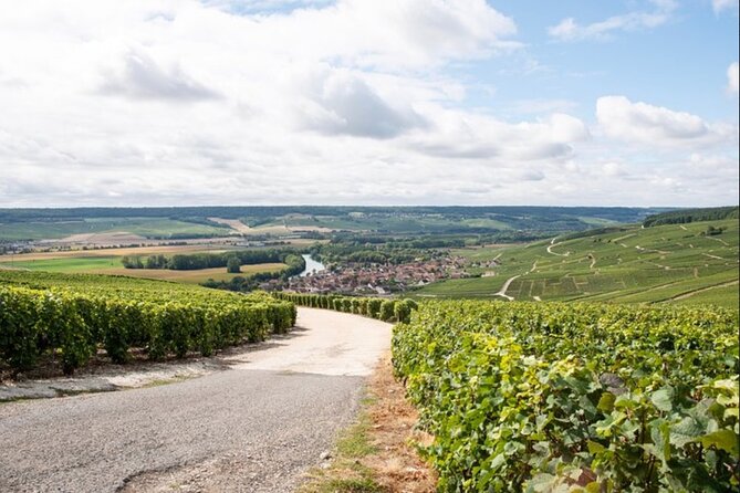 Champagne Small-Group Tour With Tastings and Lunch From Epernay - Personalized Small-Group Experience