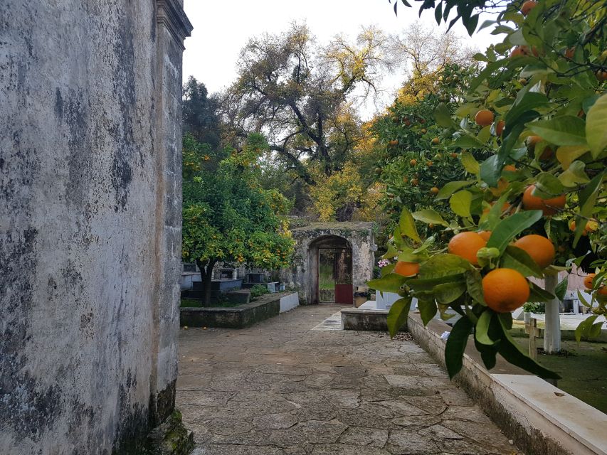 Chania: Discover the Religious Heritage Of Apokoronas - Customer Experiences