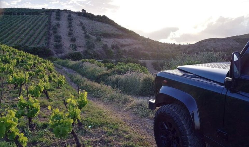 Chania Luxury Jeep Safaris: Wine & Olive Oil Tasting Secrets - Transportation and Comfort Features
