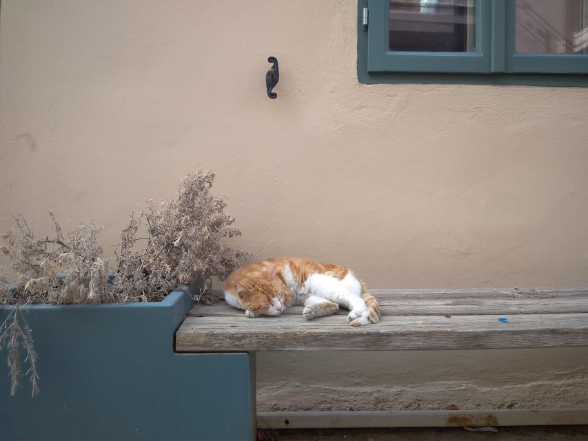 Chania Old Town: Artisans & Sightseeing Walking Tour - Exploring Old Town