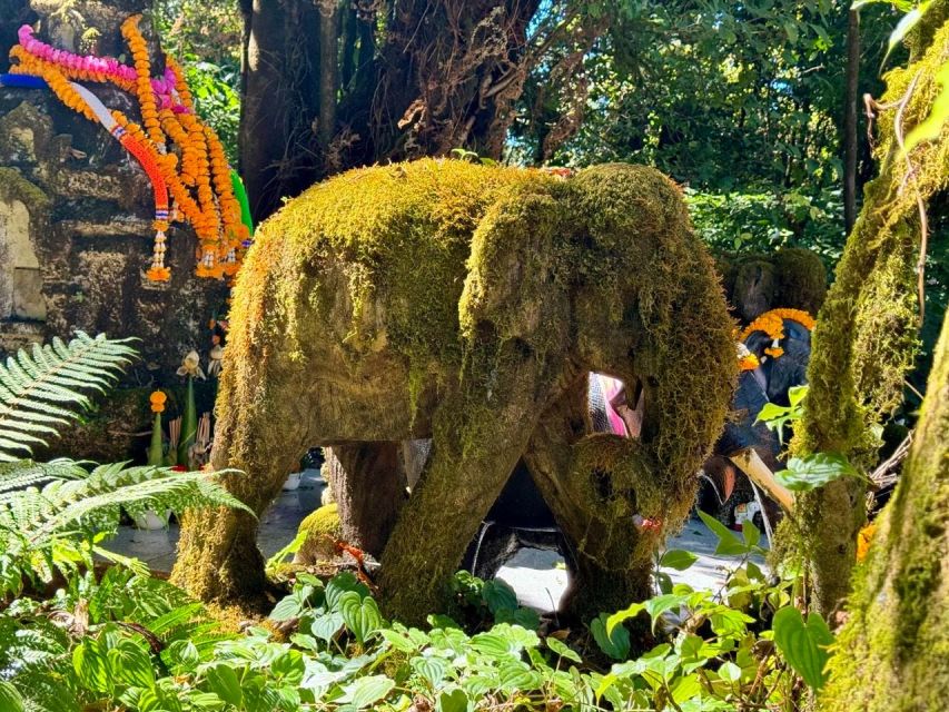 Chiang Mai Elephant Recovery Center, Doi Inthanon and Hiking - Frequently Asked Questions