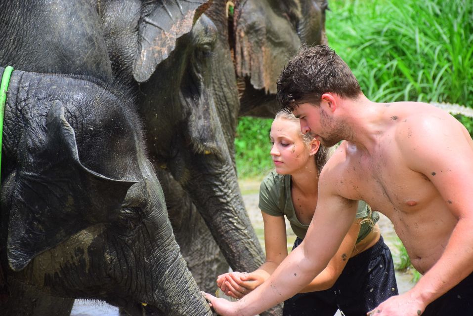 Chiang Mai: Private Elephant Care Experience for Couples - Capturing Memorable Moments