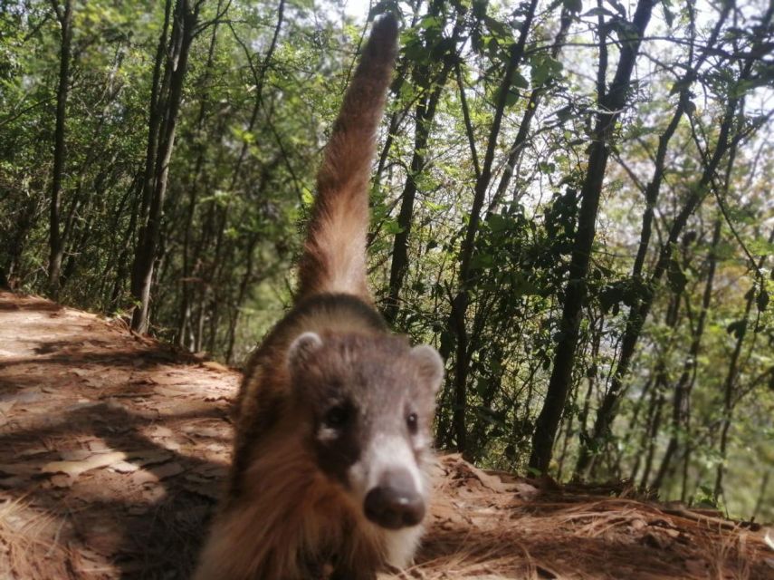 Chipinque Hiking Tour, With Guide, Transfer and Tickets - Frequently Asked Questions